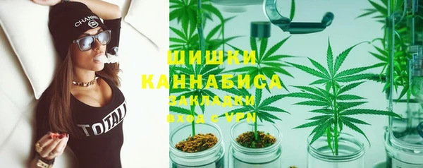 дмт Каменногорск